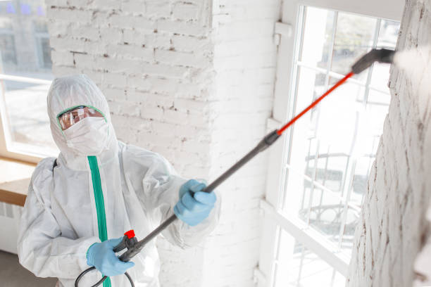 Best Mold Remediation for Healthcare Facilities  in Arizona City, AZ