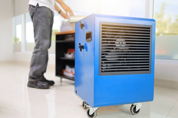 Best HVAC Mold Inspection and Cleaning  in Arizona City, AZ