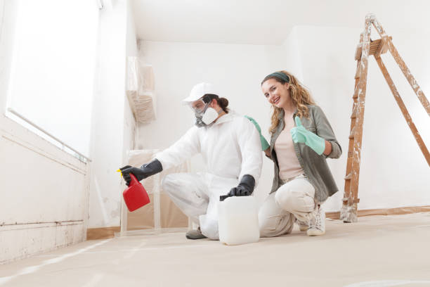 Best Black Mold Removal  in Arizona City, AZ