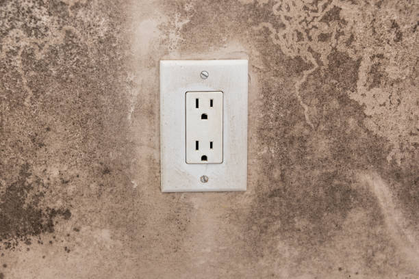 Dehumidification Services in Arizona City, AZ